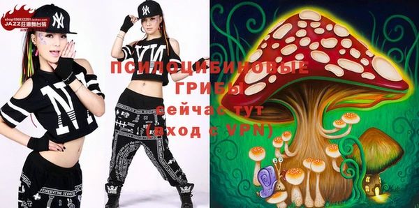 бошки Абаза