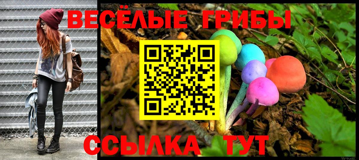 Псилоцибиновые грибы мухоморы Анапа