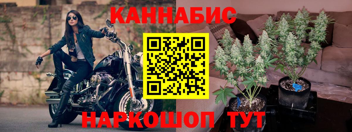 Бошки Шишки VHQ Анапа